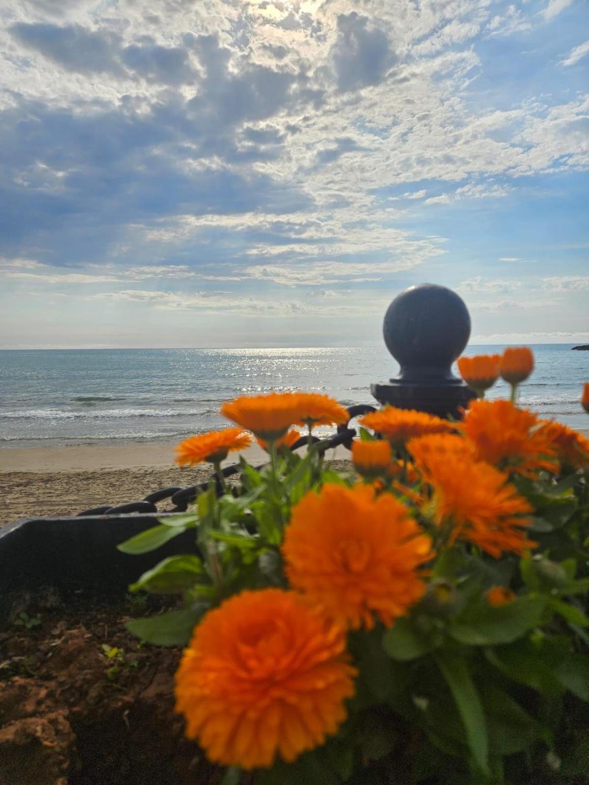 Mondrian Magic World - Sea View First Line Of The Beach Oropesa del Mar Exterior photo