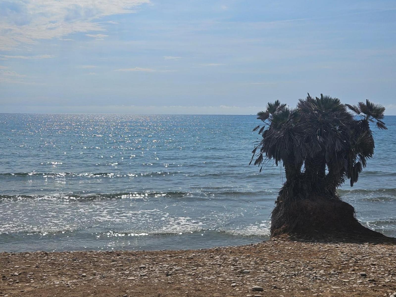 Mondrian Magic World - Sea View First Line Of The Beach Oropesa del Mar Exterior photo